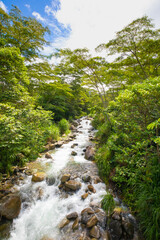 Fototapeta na wymiar Costa Rica river in the tropical jungle