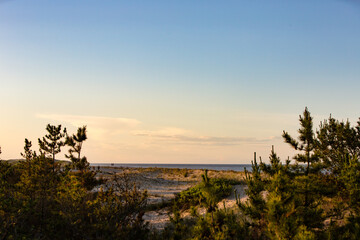 Fototapeta na wymiar sand dunes Atlantic Ocean east coast