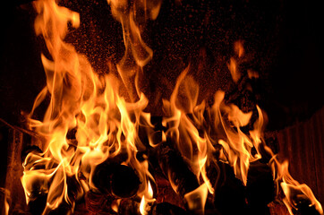 Hot vivid burning birch logs in fireplace