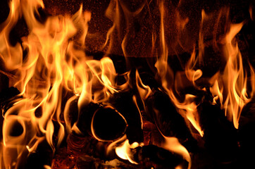 Hot vivid burning birch logs in fireplace