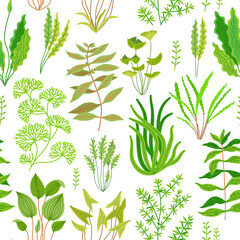 Seamless pattern with marine plants and seaweed.