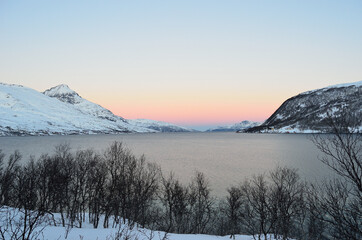 Fototapeta na wymiar Small trees in front of snowy mountain, cold fjord and vivid colourful sky