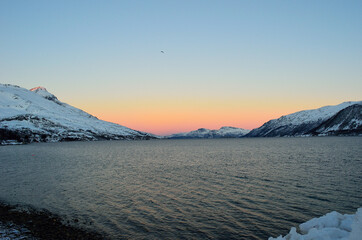 Vibrant colours on dawn sky over cold arctic fjord water and majestic snowy mountain range