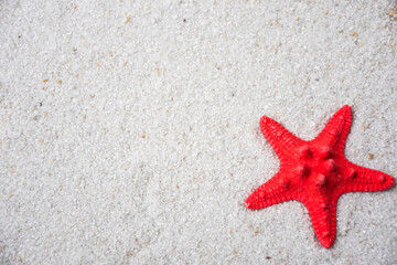 starfish on sand