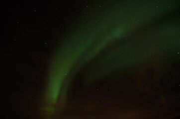 Fototapeta na wymiar vibrant aurora borealis, northern light on the arctic night sky, northern Norway