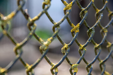 chain link fence