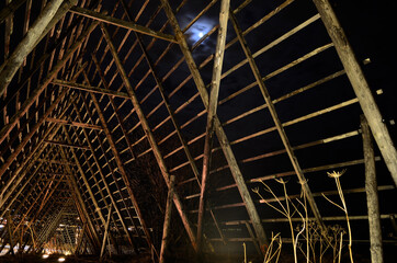 stockfish structure at night