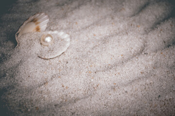 seashell with pearl on sand