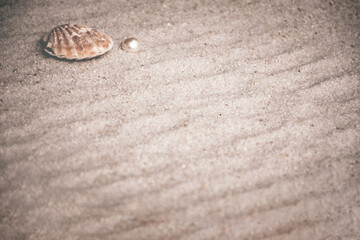 seashell with pearl on sand