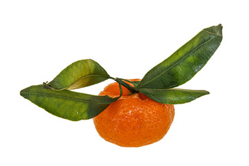 Ripe sweet tasty tangerine with leaves