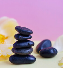 pyramid of stones and peony flowers on colored pink and yellow background. balanced zen stones. spa and relax creative concept.
