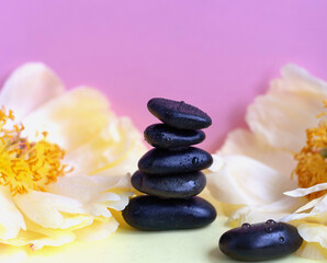 pyramid of stones and peony flowers on colored pink and yellow background. balanced zen stones. spa and relax creative concept.