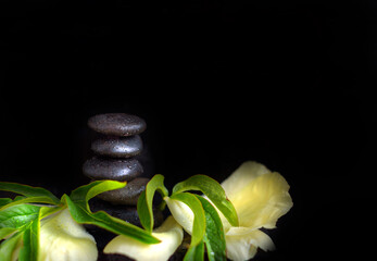 pyramid of stones and peony petals on dark background. balanced zen stones. spa and relax creative concept.