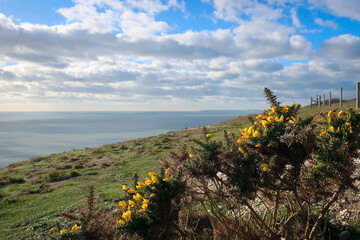 Fototapeta na wymiar Isle of Wight chalk cliffs scenic view, England