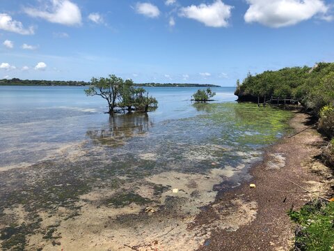 R&eacute;serve naturelle et village de Wasini Island au Kenya