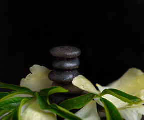 Fototapeta premium pyramid of stones and peony petals on dark background. balanced zen stones. spa and relax creative concept.