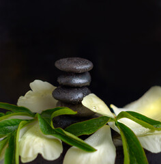Fototapeta premium pyramid of stones and peony petals on dark background. balanced zen stones. spa and relax creative concept.