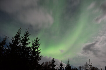 Fototapeta na wymiar majestic aurora borealis in arctic circle winter landscape