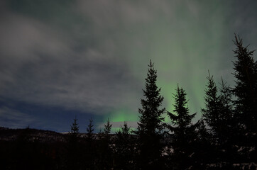 Fototapeta premium majestic aurora borealis in arctic circle winter landscape