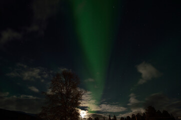 aurora borealis, northern light in arctic landscape