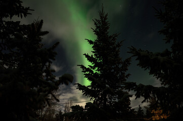 majestic aurora borealis in arctic circle winter landscape