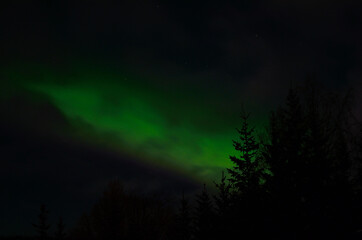 majestic aurora borealis in arctic circle winter landscape