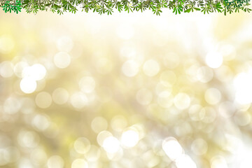 Obraz premium Green leaves blurred background with beautiful bokeh.