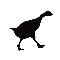 A duck body silhouette vector