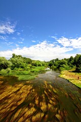 Protva River in Borovsk. Kaluga region, Russia