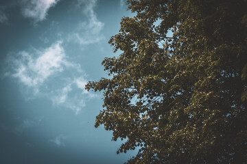 Obraz premium Sky in the town