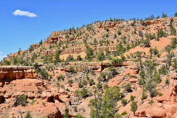 Fototapeta na wymiar Red Canyon Utah Bryce Hiking Southwest 