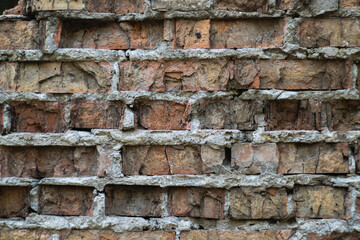 Old brick wall of red color with peeling brick and gray cement seams. Close-up.