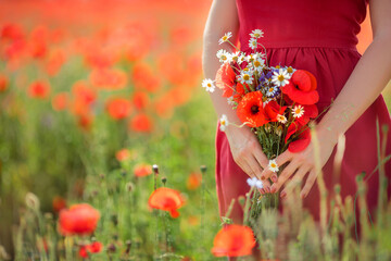 Bouquet of wild flowers in the hands of a girl against a poppy field. Close-up, background.