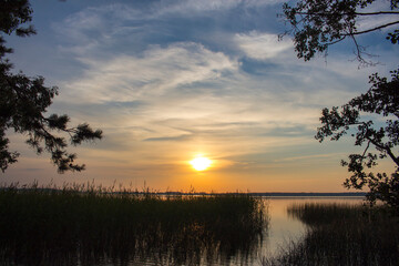 Summer lake at dawn, nature background.