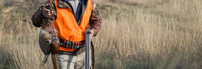 Poster A man with a gun in his hands and an orange vest on a pheasant hunt in a wooded area in cloudy weather. Hunter with dogs in search of game. © Mountains Hunter