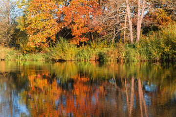 Autumn landscape with trees reflection in river