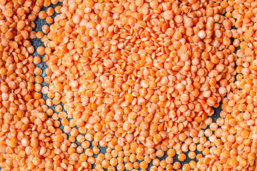 lentils bean product set Menu concept serving size. food background top view copy space organic healthy eating