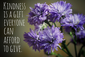 Inspirational quote - Kindness is a gift everyone can afford to give. With background of blue and purple flowers. Love and kindness concept with nature blue flowers decoration.