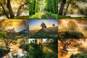 Collage of spring landscapes. collection of photos with morning sunshine