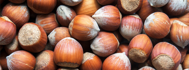 Raw hazelnut. Food hazelnut texture.