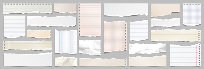 Colored ripped lined paper strips collection. Realistic paper scraps with torn edges. Sticky notes, shreds of notebook pages. Vector illustration.