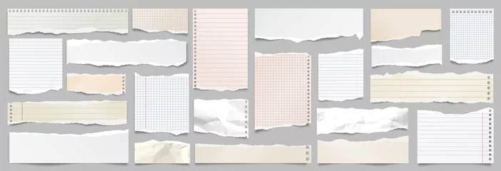 Fotobehang Colored ripped lined paper strips collection. Realistic paper scraps with torn edges. Sticky notes, shreds of notebook pages. Vector illustration. © 32 pixels