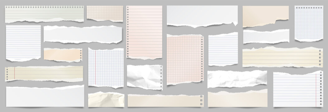 Colored ripped lined paper strips collection. Realistic paper scraps with torn edges. Sticky notes, shreds of notebook pages. Vector illustration.