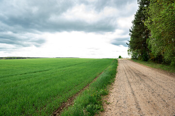 Gravel road along the field.