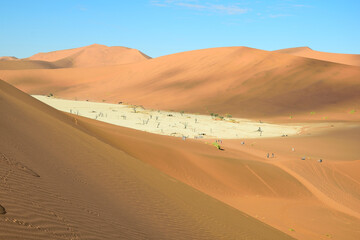Fototapeta na wymiar DESERT LANDSCAPES IN THE NAMIB DESERT IN NAMIBIA.