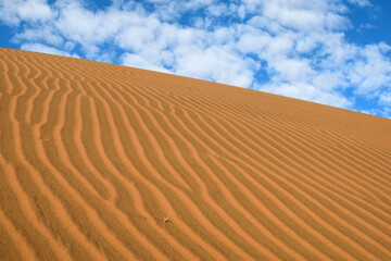 NAMIBIA. BIG SAND DUNES IN THE NAMIB DESERT.
