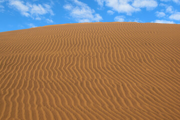 NAMIBIA. BIG SAND DUNES IN THE NAMIB DESERT.