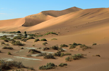 NAMIBIA. BIG SAND DUNES IN THE NAMIB DESERT.