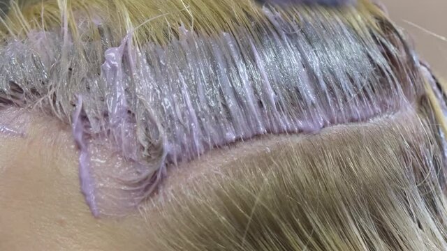 Hairdresser dyes blonde client hair in a beauty salon. Studio hairdresser.