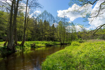 Obraz premium A river in the Blue Lakes region of the Narachanski National Park